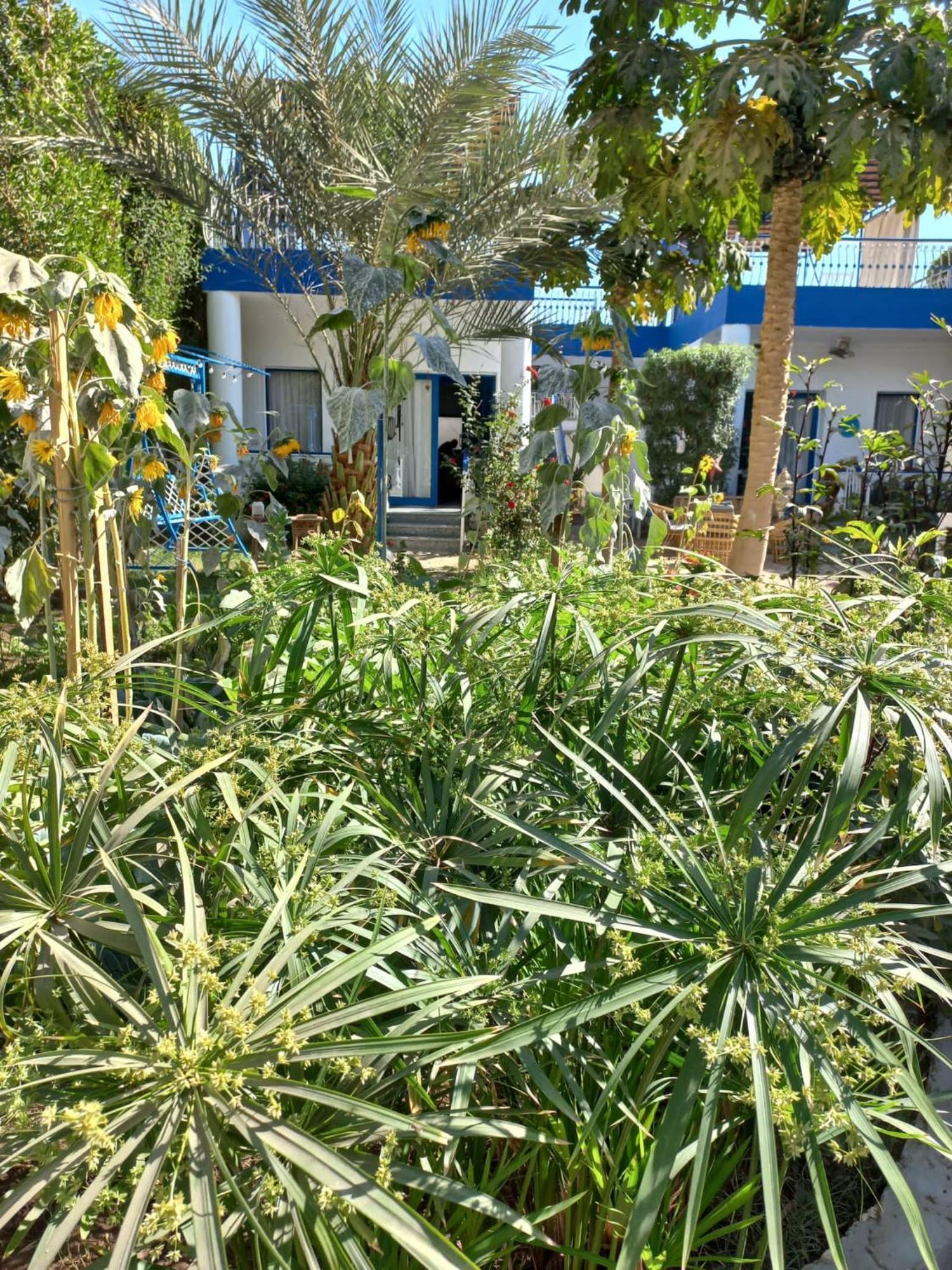 Villa Kaslan Apartments Luxor Ngoại thất bức ảnh