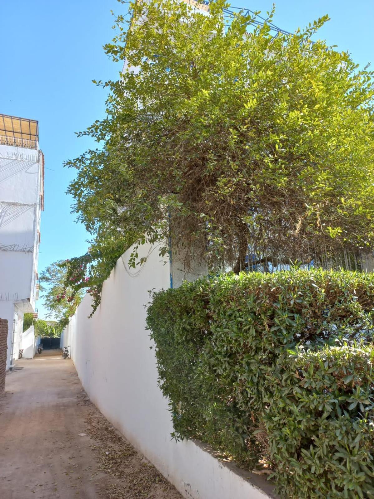 Villa Kaslan Apartments Luxor Ngoại thất bức ảnh